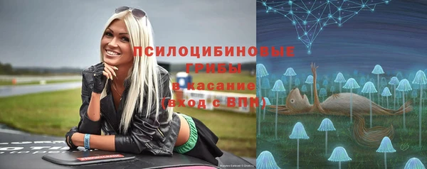 хмурый Медногорск
