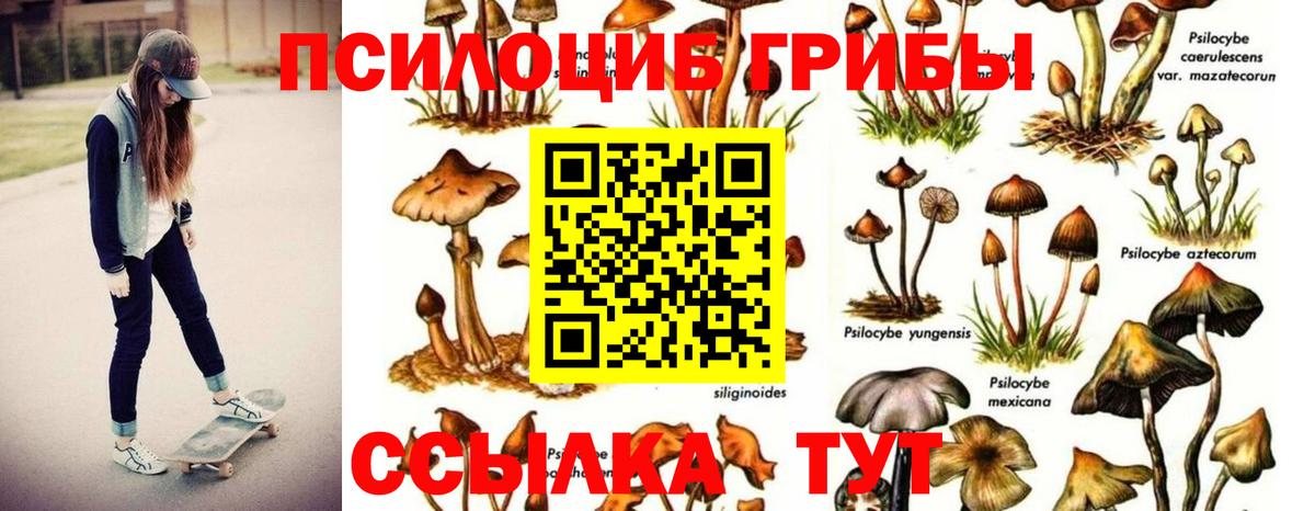 Галлюциногенные грибы Magic Shrooms  Галлюциногенные грибы мицелий  Вход с VPN  Уссурийск 