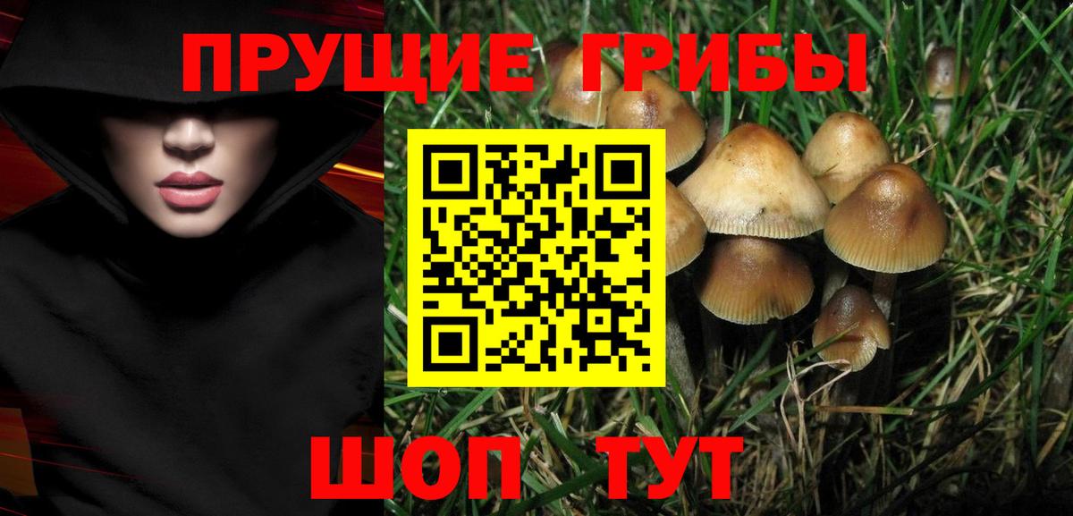 Псилоцибиновые грибы мицелий Уссурийск