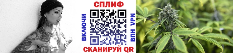 hydra зеркало  Уссурийск  площадка наркотические препараты  Шишки марихуана OG Kush 